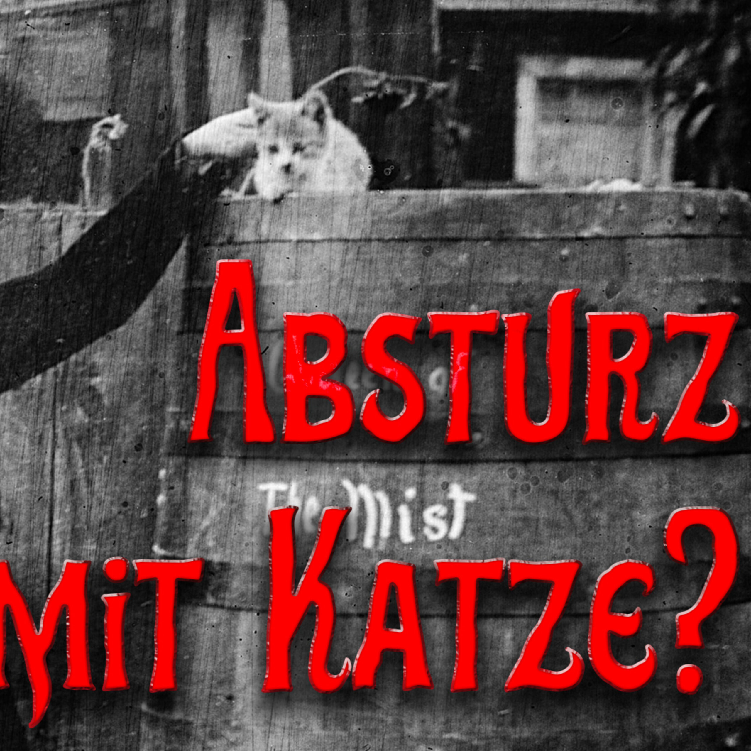 Sturz in die Niagarafälle – von Helden und Opfern