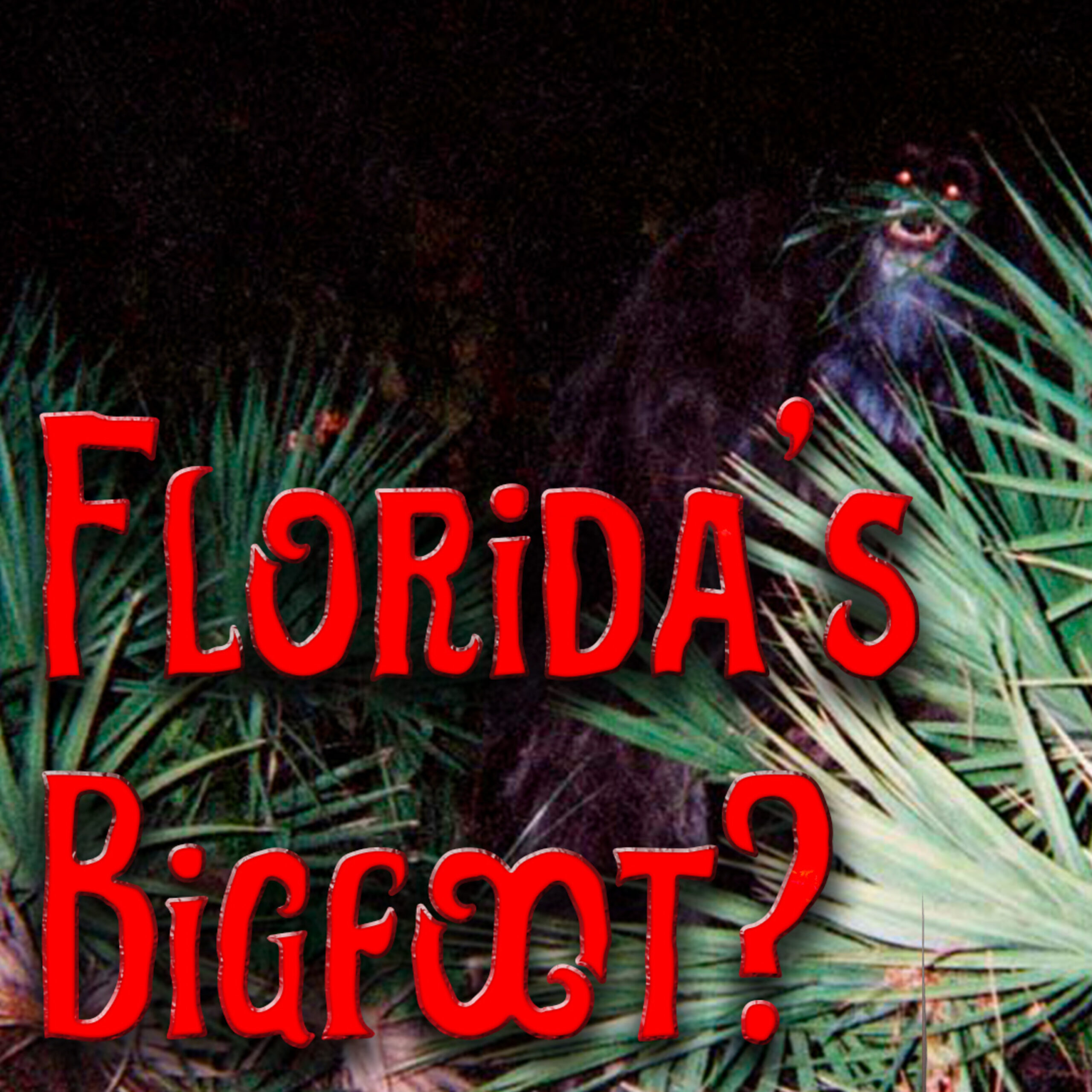 Der Bigfoot des Südens: Skunk Apes in Florida – Legende oder Realität?